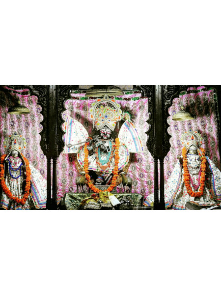 Маха-прасад из храма Радха-Гопинатха, 100 гр \ Maha-prasad Radha-Gopinatha, 100 gr