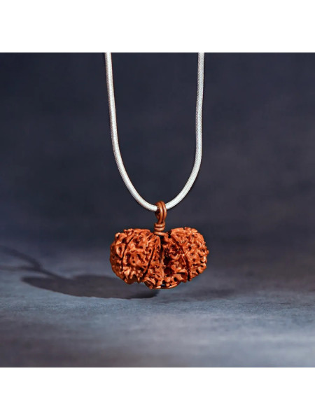 Рудракша Милость Гаури-Шанкар, Иша Лайф; Rudraksha Grace of Gauri-Shankar, Isha Life