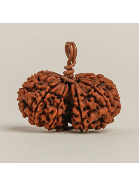 Рудракша Иша Гаури-Шанкар, Иша Лайф; Energized Isha Gauri-Shankar Rudraksha Isha Life