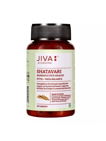 Шатавари, 120 таблеток, производитель Джива Аюрведа; Shatavari 120 Tablets, Jiva Ayurveda