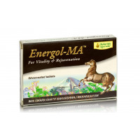 Энергол-МA: повышение уровня энергии в организме, 20 таб., производитель "Махариши Аюрведа", Energol-MA, 20 tabs., Maharishi Ayurveda