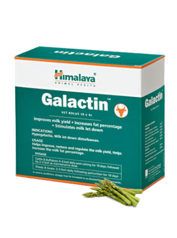 Галактин Хималая: 40 таблеток для повышения лактации у коров Галактин Хималая: 40 таблеток для повышения лактации у коров