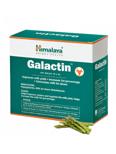 Галактин: нормализация лактации у коров Хималая, 40 таб., Galactin Himalaya, 40 tab.