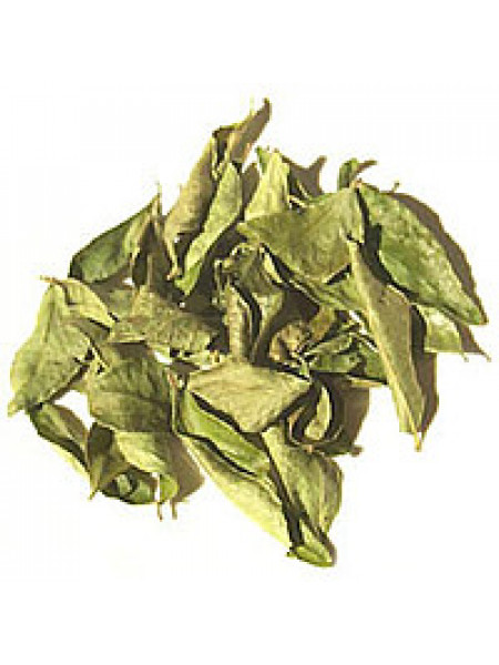Листья Карри, 18 г, Curry Leaves, 18 g
