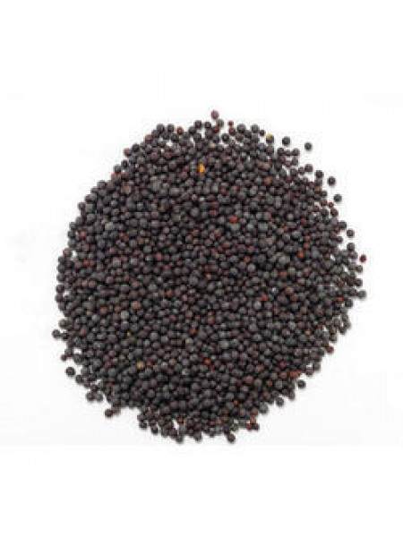 Черная Горчица (семена), 1кг, Black Mustard (seeds), 1 kg
