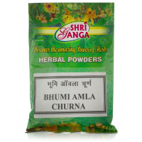 Бхуми Амла Чурна, 100 г, производитель Шри Ганга; Bhumi Amla Churna, 100 g, Shri Ganga